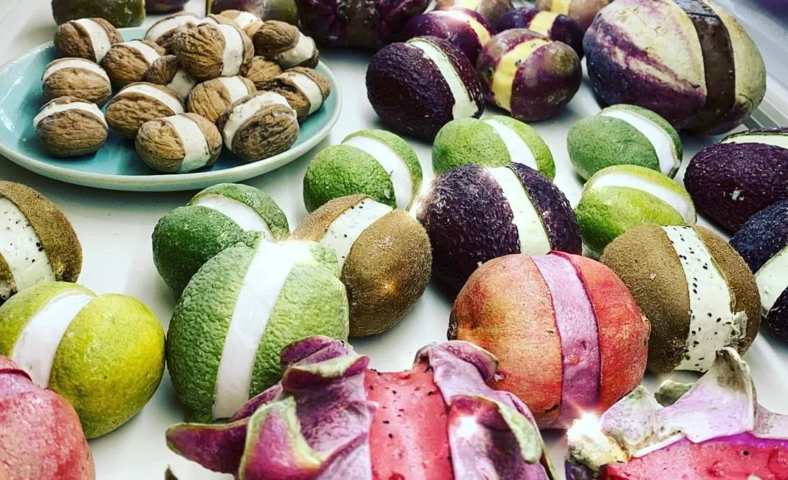 Sorbet Artisanal en Coque de Fruit : comment lancer ça ?