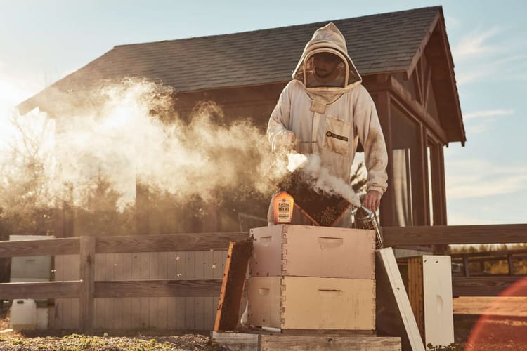 Blake Shook A Créé Desert Creek Honey Qui Génère 3,1M$/An En Démarrant à 12 Ans